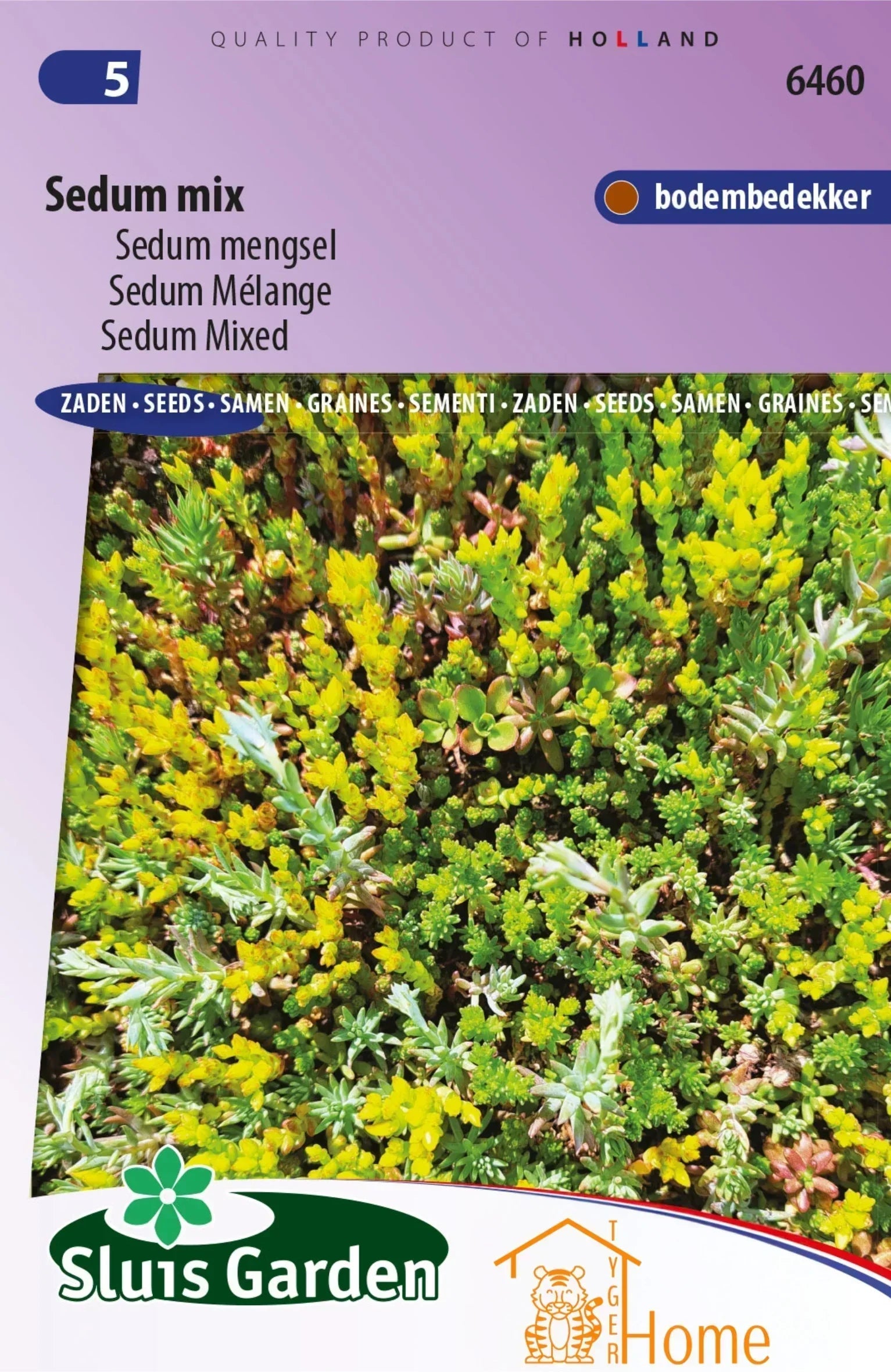 Sedum zaden: een unieke manier om je tuin te verrijken of je dak om een duurzame eco friendly cultuur te creëren.