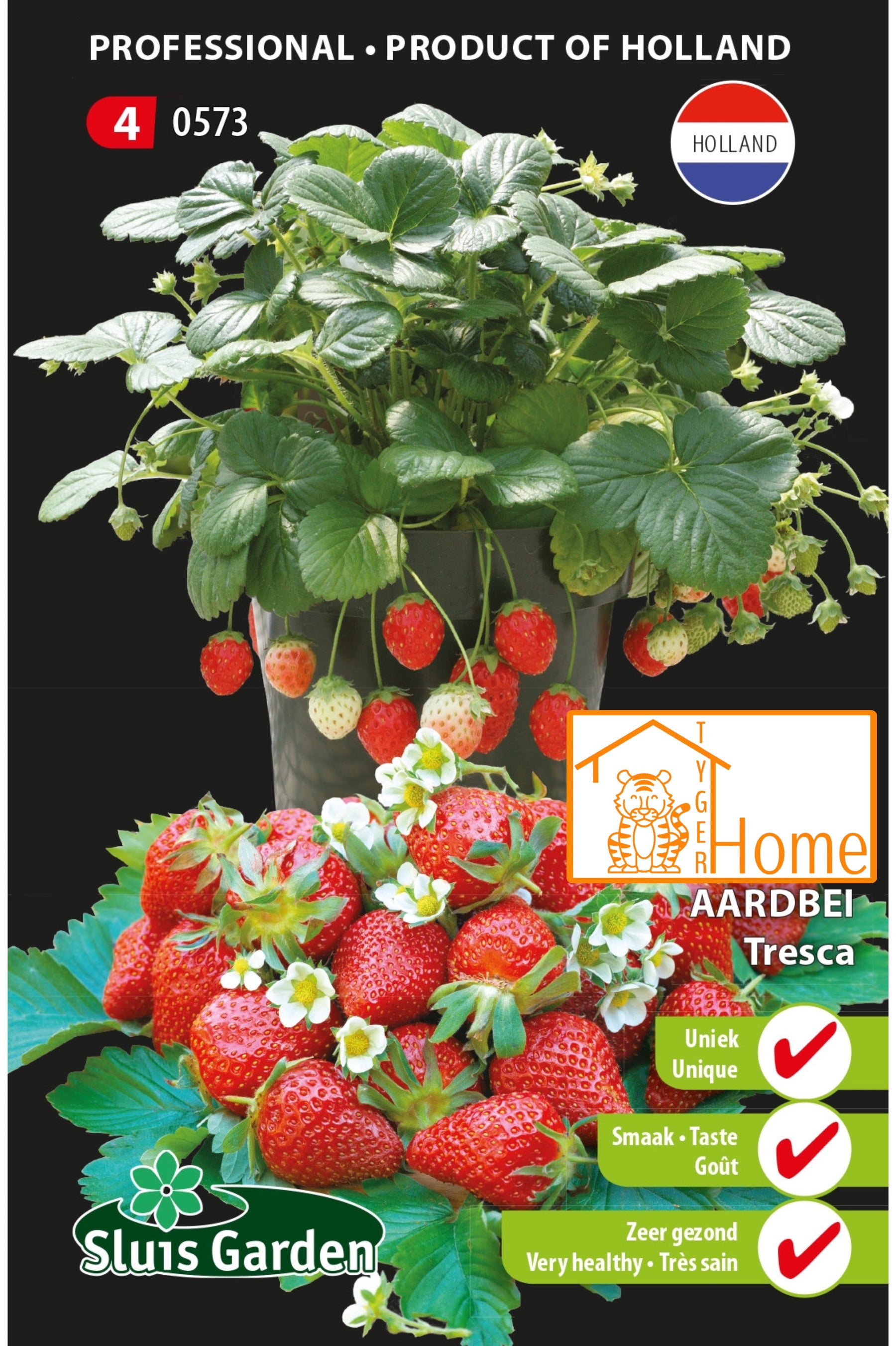 Hoe krijg je lekkere zoete aardbeien en gezond