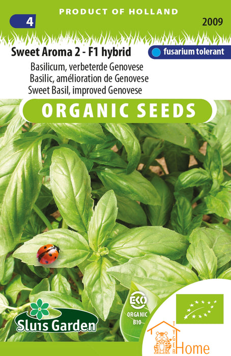 Sweet Aroma 2 F1 Hybrid Basilicum Verbeterde Genovese Zaden: Kweek Heerlijke, Aromatische Basilicum met Intense Geur en Fijne Bladeren voor Verse en Culinaire Gerechten
