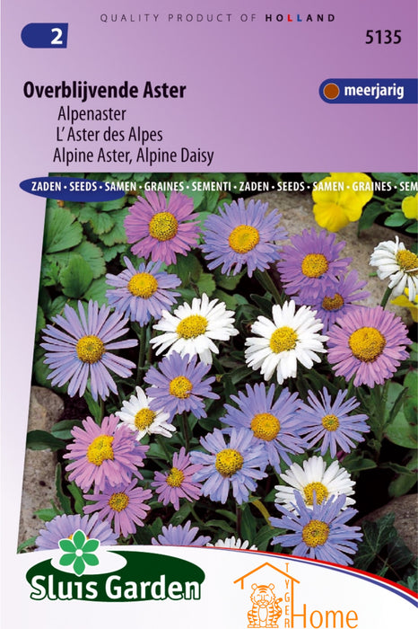 Overblijvende Aster Alpenaster Bloemen Zaden voor de Tuin: Kweek Prachtige, Veeljarige Alpenasters - Grow Beautiful, Perennial Alpine Aster Flowers - Cultivez de Magnifiques Asters Alpins Vivaces pour le Jardin