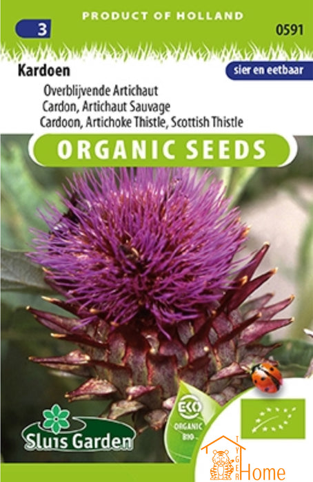 Kardoen Overblijvende Artichaut Zaden: Kweek Heerlijke, Veelzijdige Kardoenen - Grow Delicious, Perennial Cardoons - Cultivez des Cardons
