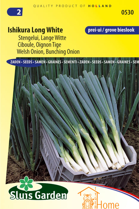 Ishikura Long White Stengelui Zaden: Kweek Heerlijke, Lange Witte Stengeluien - Grow Delicious, Long White Bunching Onions - Cultivez des Oignons Longs