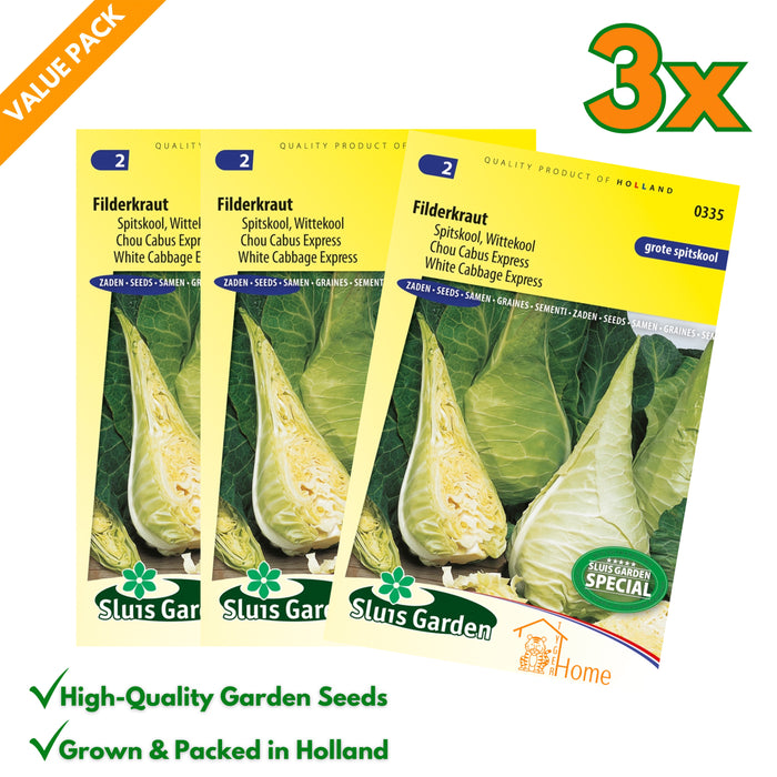 Spitskool Filderkraut | Grote witte kool | Perfect voor zuurkool en koken | Snelgroeiend en mals - 3x