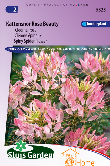 Kattensnor Rose Beauty Cleome Rose Bloemen Zaden voor de Tuin: Kweek Prachtige, Roze Kattensnor Bloemen - Grow Beautiful, Pink Spider Flower - Cultivez de Magnifiques Fleurs de Cléome Roses pour le Jardin