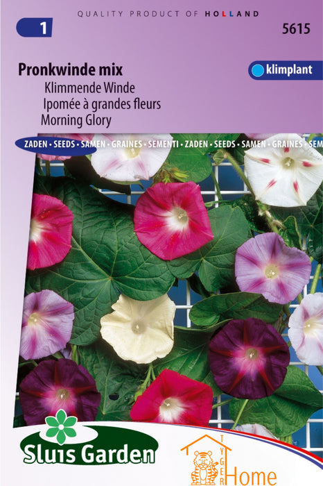 Pronkwinde Mix Klimmende Winde Zaden - Glory Bind Mix Climbing Morning Glory Seeds - Mélange de Convolvulus Grimpant Graines