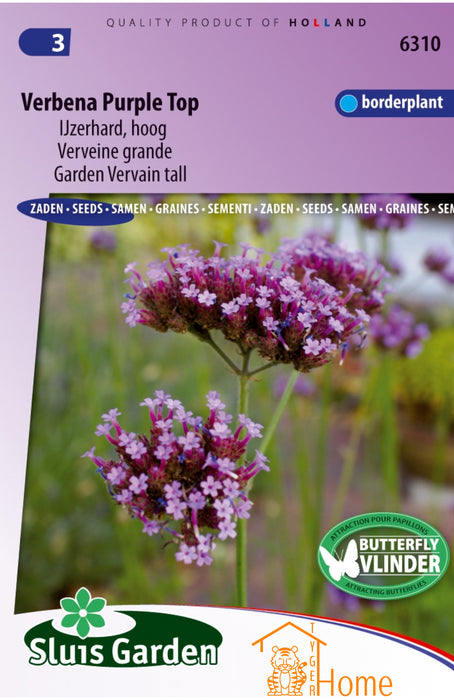 Verbena Purple Top Zaden - Hoge IJzerhard voor Borders en Natuurlijke Tuinen - Trekt Bijen en Vlinders aan met Paarse Bloei