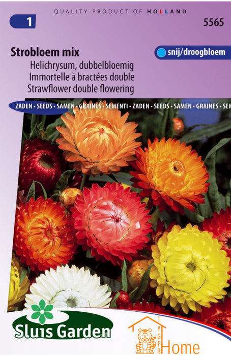 Strobloem Dubbelbloemig Gemengd Zaden, Prachtige Droogbloemen - Strawflower Double Flowered Mix Seeds, Beautiful Everlasting Flowers - Graines de Fleur de Paille à Fleurs Doubles Mixtes, Superbes Fleurs Séchées