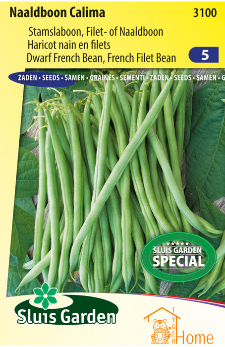 Stamslaboon Filet Calima Zaden, Fijne en Sappige Groene Boon