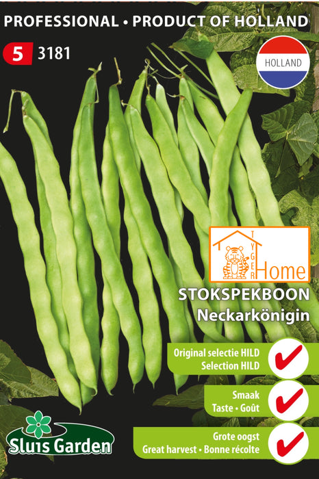 Stokspekboon Neckarkönigin Zaden: Kweek Heerlijke, Vlezige Bonen met Volle Smaak en Stevige Textuur voor een Overvloedige en Smakelijke Oogst