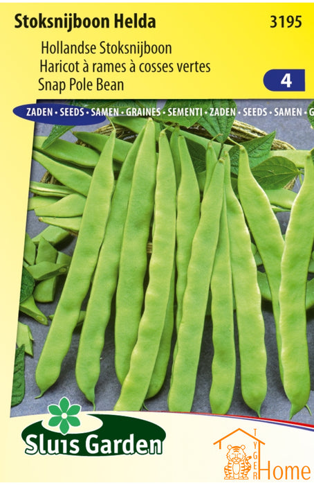 Stoksnijboon Algarve Zaden: Kweek Heerlijke, Hollandse Stoksnijbonen voor een Rijke Oogst - Grow Delicious, Dutch Pole Beans - Haricots à Rames Algarve - Cultivez de Délicieux Haricots Verts Néerlandais pour Votre Jardin