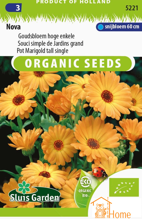 Nova Goudsbloem Hoge Enkele Bloemen Zaden voor de Tuin: Kweek Prachtige, Goudgele Enkele Goudsbloemen - Grow Beautiful, Tall Single Marigold Flowers - Cultivez de Magnifiques Soucis Simples Dorés pour le Jardin