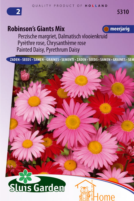Robinson's Giants Mix Perzische Margriet Bloemen Zaden voor de Tuin: Kweek Prachtige, Gigantische Perzische Margrieten - Grow Beautiful, Giant Persian Daisy Flowers - Cultivez de Magnifiques Marguerites Persanes Géantes pour le Jardin