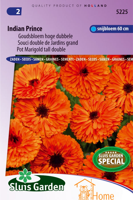 Indian Prince Goudsbloem Hoge Dubbele Bloemen Zaden voor de Tuin: Kweek Prachtige, Goudgele Dubbele Goudsbloemen - Grow Beautiful, Tall Double Marigold Flowers - Cultivez de Magnifiques Soucis Doubles