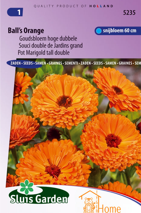 Ball's Orange Goudsbloem Hoge Dubbele Bloemen Zaden voor de Tuin: Kweek Prachtige, Oranje Dubbele Goudsbloemen - Double Orange Marigold Flowers