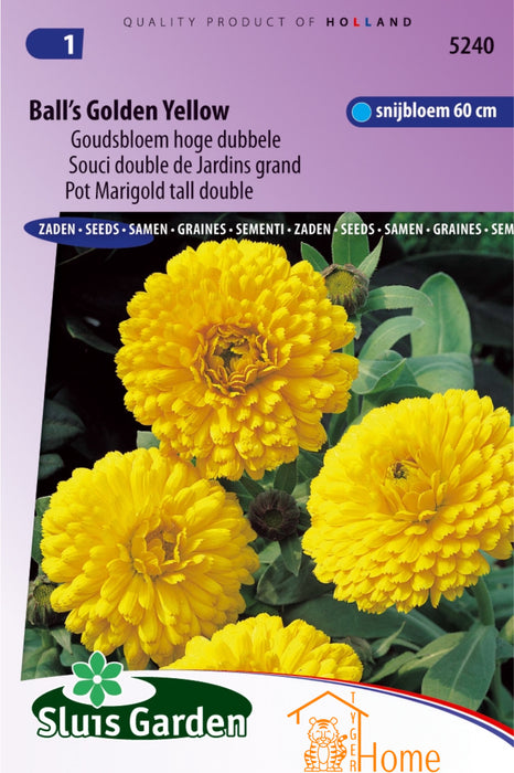 Ball's Golden Yellow Goudsbloem Hoge Dubbele Bloemen Zaden voor de Tuin: Kweek Prachtige, Goudgele Dubbele Goudsbloemen