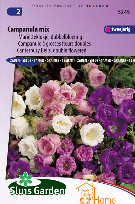 Campanula Mix Marietteklokje Dubbelbloemi Bloemen Zaden voor de Tuin: Kweek Prachtige, Kleurrijke Klokjesbloemen