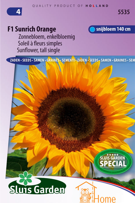 F1 Sunrich Orange Zonnebloem, Enkelbloemig - F1 Sunrich Orange Sunflower, Single Flower - F1 Sunrich Orange Tournesol, Fleur Unique