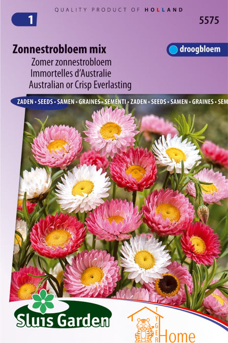 Zonnestrobloem Mix Zomer Zaden - Summer Sunflower Mix Seeds - Mélange de Tournesols d'Été Graines - Australian or Crisp Everlasting