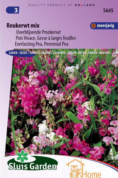 Reukerwt Mix Zaden, Overblijvende Pronkerwt - Everlasting Pea Mix Seeds, Perennial Pea - Graines de Pois Vivace Mix, Gesse à Larges Feuilles