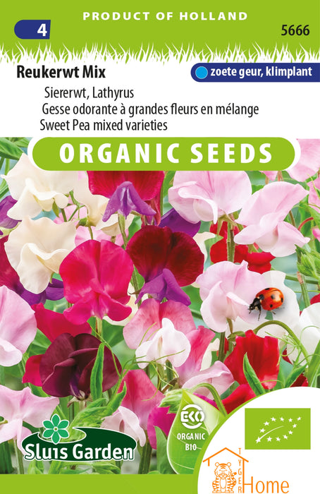 Reukerwt Mix Zaden, Siererwt Lathyrus - Sweet Pea Mixed Varieties Seeds, Climbing Vine - Graines de Gesse Odorante en Mélange, Plante Grimpante