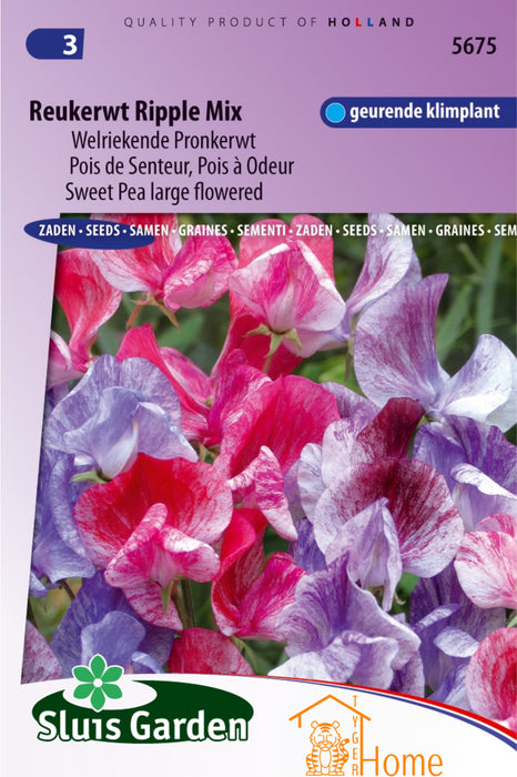 Reukerwt Ripple Mix Zaden, Welriekende Pronkerwt - Sweet Pea Ripple Mix Seeds, Climbing Vine - Graines de Pois de Senteur Ripple Mix, Plante Grimpante