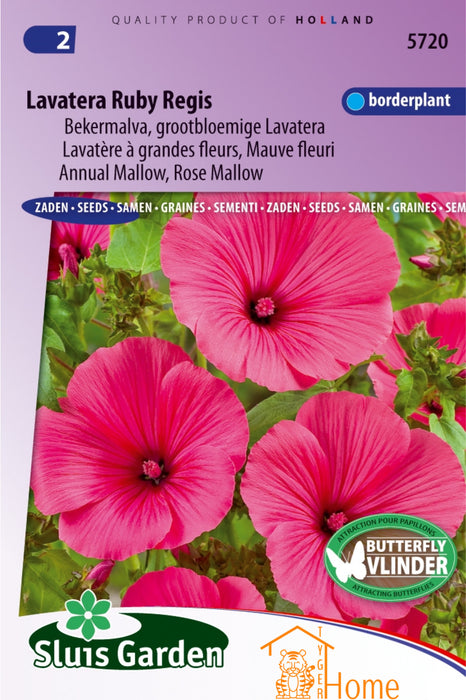 Lavatera Ruby Regis Zaden, Grootbloemige Bekermalva - Lavatera Ruby Regis Seeds, Annual Mallow - Graines de Lavatère Ruby Regis, Mauve à Grandes Fleurs