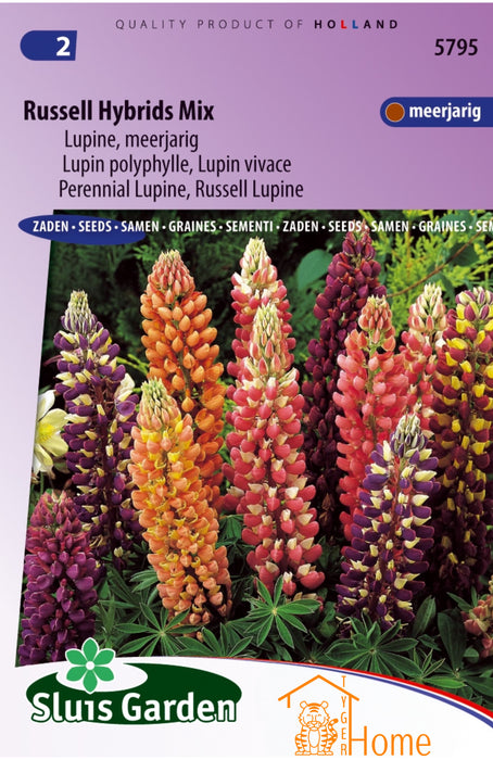 Russell Hybrids Mix Zaden, Kleurrijke Meerjarige Lupine, Prachtige Tuinbloeiers - Russell Hybrids Mix Seeds, Vibrant Perennial Lupine, Spectacular Garden Bloomers - Graines de Lupin Vivace Russell Hybrids Mix