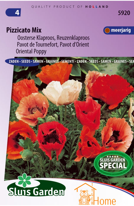 Pizzicato Mix Zaden, Meerjarige Oosterse Klaproos - Pizzicato Mix Seeds, Perennial Oriental Poppy - Graines de Pavot d'Orient Pizzicato Mix, Vivace