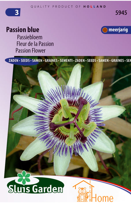 Passion Blue Zaden, Exotische Passiebloem met Levendige Blauwe Bloemen - Passion Blue Seeds, Vibrant Blue Passion Flower, Ideal for Trellises - Graines de Passion Blue, Fleur de la Passion aux Fleurs Bleues Éclatantes