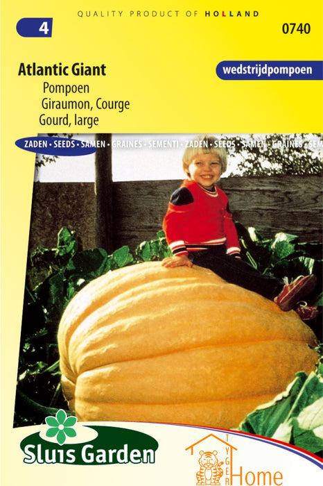 Atlantic Giant Pompoen Zaden: Grow Massive, Impressive Pumpkins in Your Own Garden - Kweek Gigantische, Indrukwekkende Pompoenen