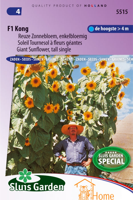 Reuze Zonnebloem Zaden F1 Kong - Gigantische, Enkelbloemige Gele Bloemen tot 4 Meter Hoog - Perfect voor Tuin, Borders en Natuurlijke Schutting