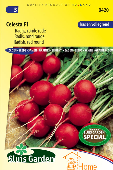 Celesta F1 Radijs Ronde Rode Zaden: Kweek Heerlijke, Knapperige Radijzen met Frisse, Licht Pittige Smaak, Perfect voor Salades, Snacks en Gezonde Gerechten