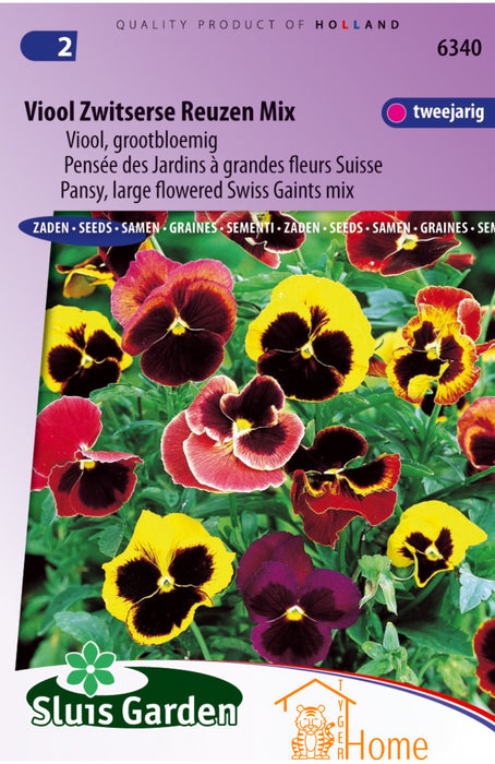 Viool Zwitserse Reuzen Mix Zaden - Grootbloemige Tweejarige Viooltjes in Rijke Kleuren voor Tuin, Borders en Potten - Winterhard en Makkelijk te Kweken