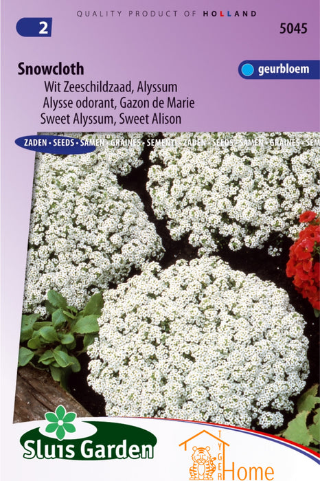 Snowcloth Wit Zeeschild Alyssum Zaden: Kweek Prachtige, Sneeuwwitte Alyssum Bloemen - Grow Beautiful, Snow-White Alyssum Flowers - Cultivez de Magnifiques Alyssum Blancs comme Neige