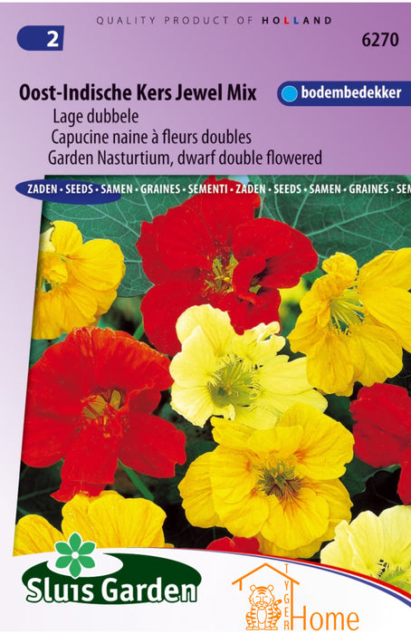Oost-Indische Kers Jewel Mix Lage Dubbele Zaden: Kweek Prachtige, Kleurrijke Bloemen