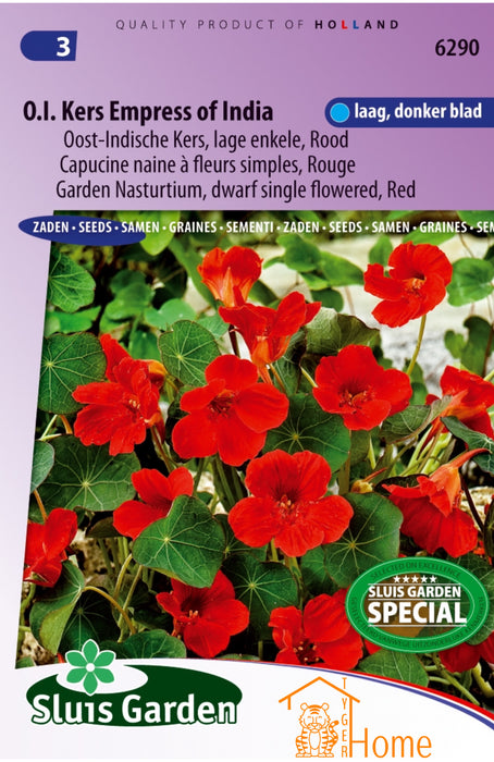 O.I. Kers Empress of India Oost-Indische Kers Lage Enkele Rood Zaden: Kweek Prachtige, Roodgekleurde Bloemen
