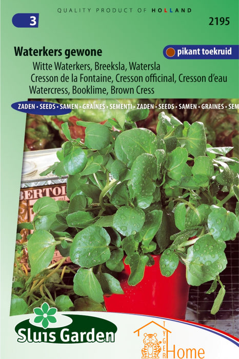 Waterkers Zaden Gewone Witte - Breeksla Watersla voor Verse en Smaakvolle Oogst - Ideaal voor Salades, Soepen en Hydrocultuur, Makkelijk te Kweken