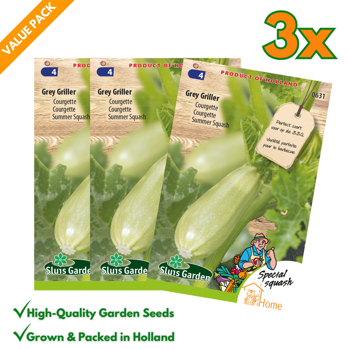 Courgette Grey Griller | Zomerpompoen voor BBQ | Lichtgroene vrucht met zachte smaak - 3x