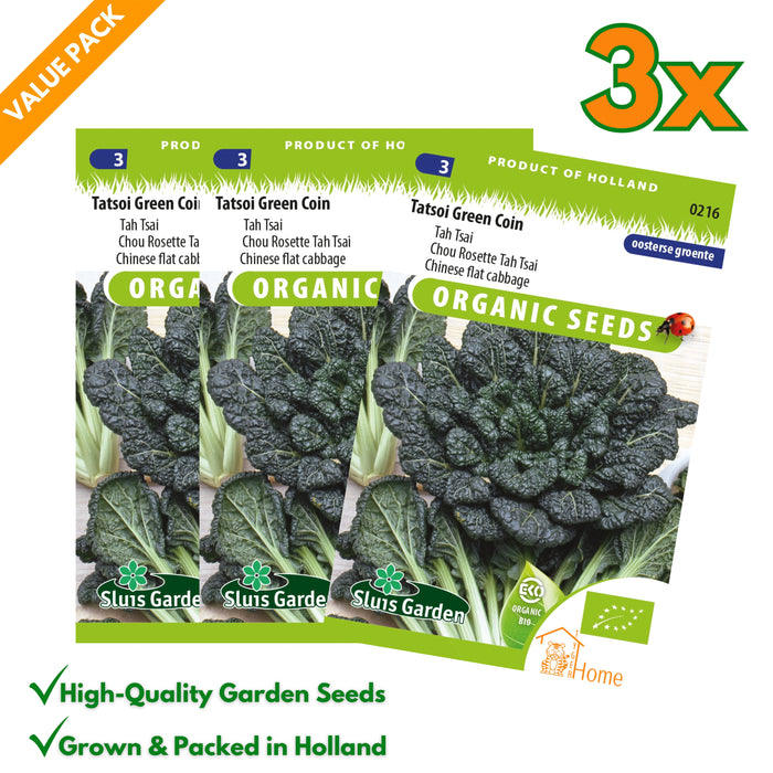 Tatsoi Green Coin | Chinese flat cabbage | Snelgroeiende Aziatische groente | Heerlijk in salades en roerbakgerechten - 3x