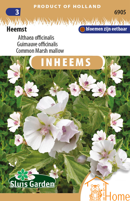 Heemst Althaea Officinalis | Inheemse eetbare bloem | Zachte witte bloei voor tuin en keuken | Marsh Mallow bloemzaden