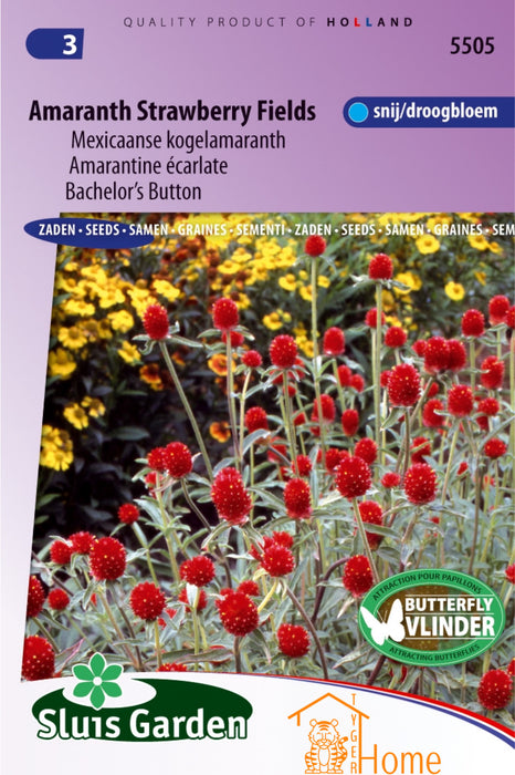 Amaranth Strawberry Fields Zaden - Mexicaanse Kogelamarant voor Snij- en Droogbloemen