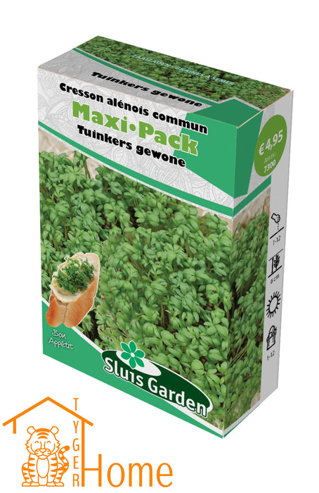 TuinKers Gewone Maxi Pack | Makkelijk te kweken kiemgroente | Snel klaar om te oogsten | Heerlijk op brood en in salades