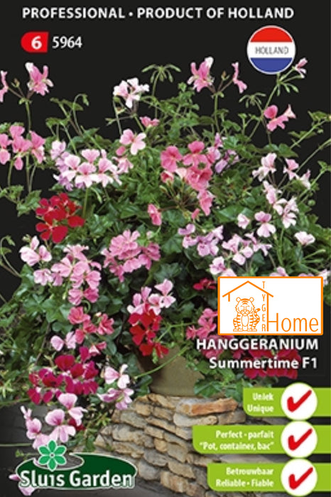 Geranium Ivy-leaved Summertime F1 Zaden, Hanggeranium - Ivy-leaved Geranium Summertime F1 Seeds, Trailing Variety