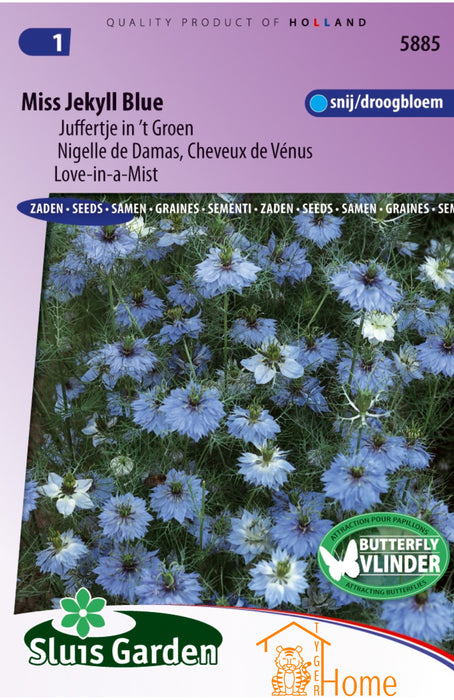 Miss Jekyll Blue Zaden, Juffertje in 't Groen Snij- en Droogbloem - Miss Jekyll Blue Seeds, Love-in-a-Mist for Cutting and Drying - Graines de Nigelle de Damas Miss Jekyll Blue, Cheveux de Vénus à Couper et Sécher