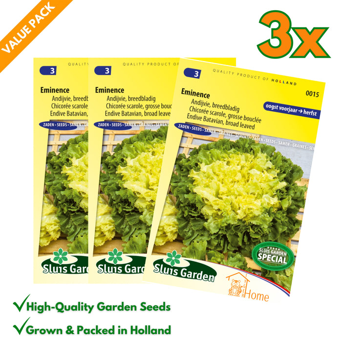 Andijvie zaden – Eminence | Breedbladige Bataviasla - 3x