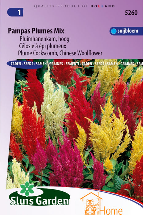 Pampas Plumes Mix Pluimhanenkam Hoge Bloemen Zaden voor de Tuin: Kweek Prachtige, Kleurrijke Pluimhanenkammen - Grow Beautiful, Tall Feathered Cockscomb Flowers - Cultivez de Magnifiques Celosies Plumeuses Hautes pour le Jardin