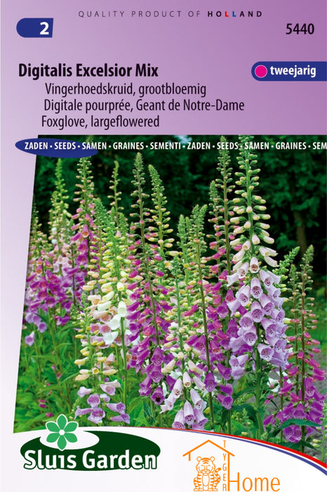 Digitalis Excelsior Mix Vingerhoedskruid Grootbloemig Bloemen Zaden voor de Tuin: Kweek Prachtige, Grote Vingerhoedskruid Bloemen -