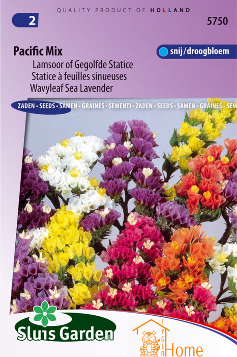 Pacific Mix Zaden, Lamsoor of Gegolfde Statice - Pacific Mix Seeds, Wavyleaf Sea Lavender - Graines de Pacific Mix, Statice à Feuilles Sinueuses