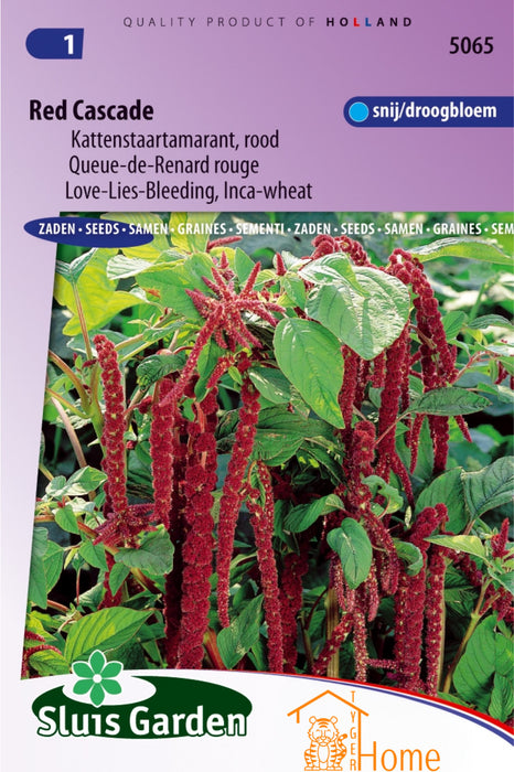 Red Cascade Kattenstaartamarant Rood Zaden: Kweek Prachtige, Dieprode Kattenstaarten - Grow Beautiful, Deep Red Amaranthus Flowers - Cultivez de Magnifiques Amaranthus Cascade Rouge Profond