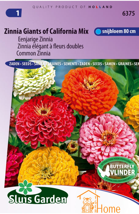 Zinnia Giants of California Mix Eenjarige Zinnia Zaden: Kweek Prachtige, Grootschalige Bloemen - Grow Beautiful, Giant Annual Zinnias